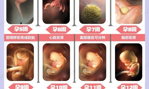 儿童七岁手出汗多怎么治疗-专业七岁小孩手脚出汗怎么回事平台-七岁小朋友手脚出汗怎么回事